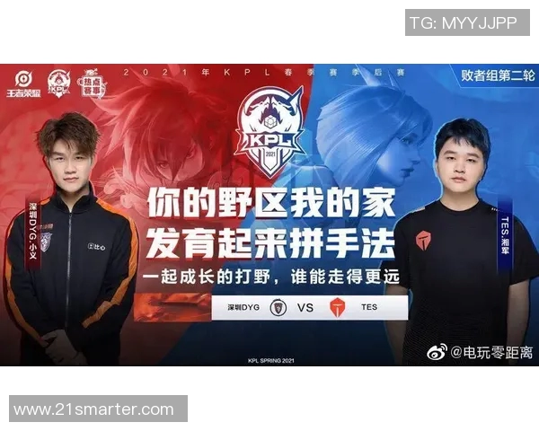 聚焦王者荣耀TES团队协作的成功秘诀与挑战分析